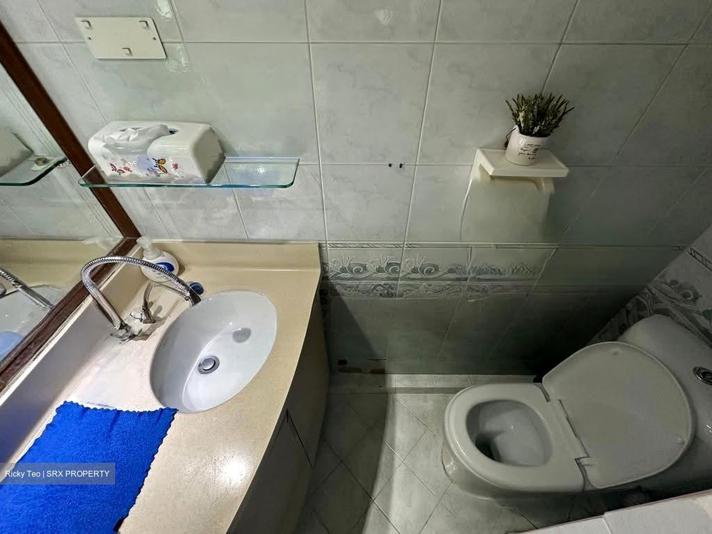 Blk 1 Farrer Gardens (Bukit Timah), HDB 5 Rooms #630726421